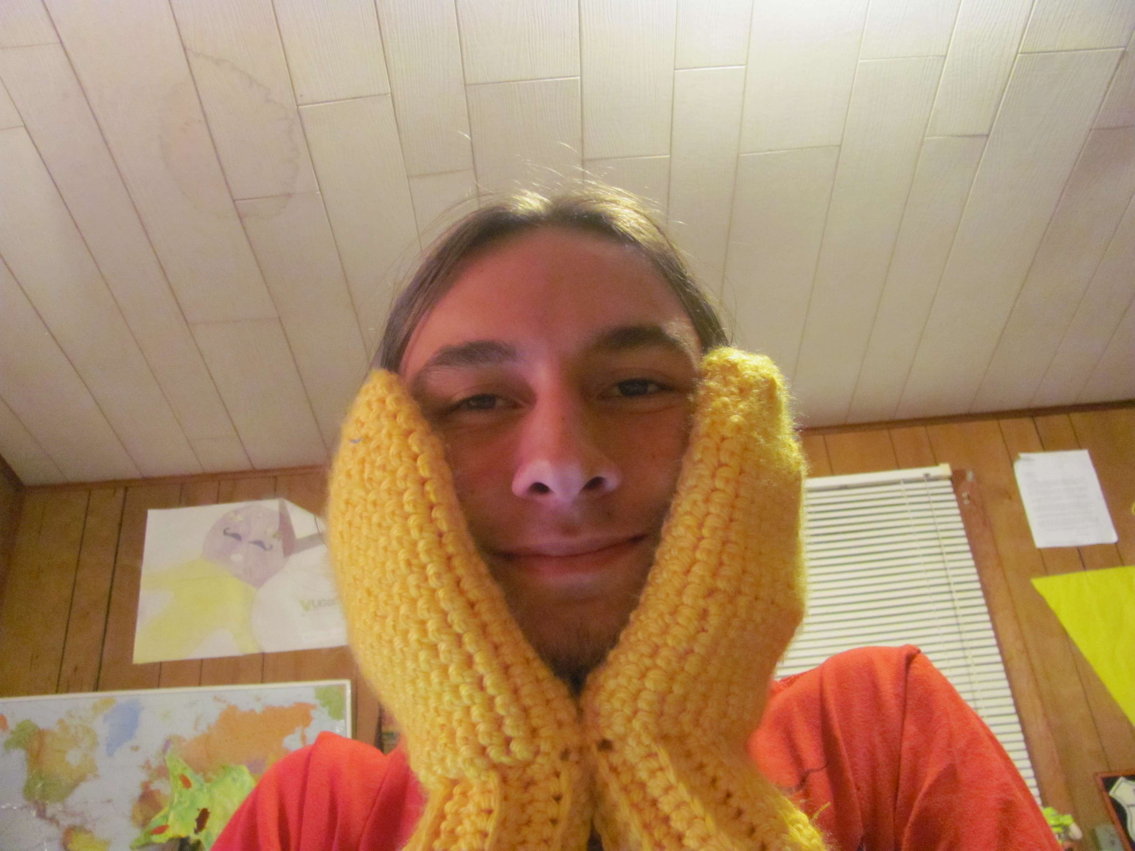 Image of me 5 - holding my head in my hands, wearing yellow mittens